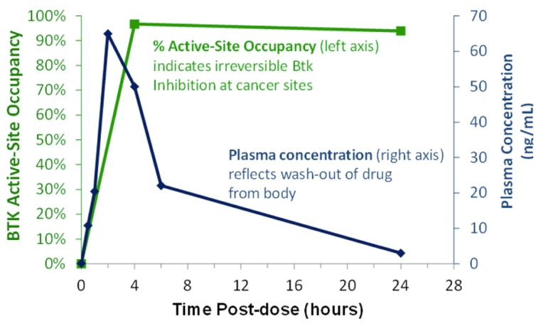 BTK Inhibitor