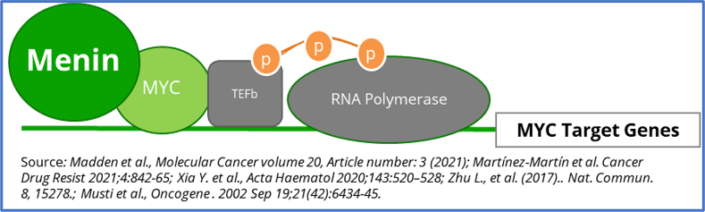 Pipeline - Biomea Fusion