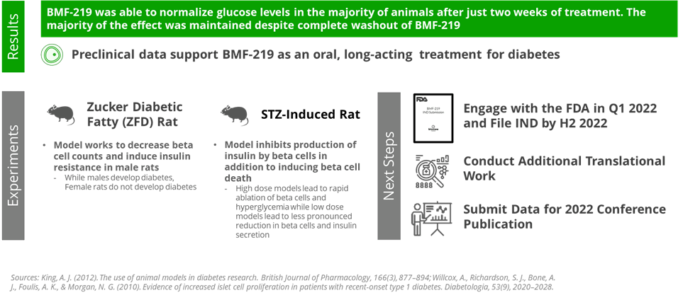 Zucker Diabetic Fatty Rat