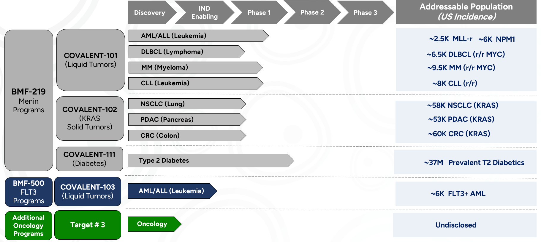 Pipeline - Biomea Fusion