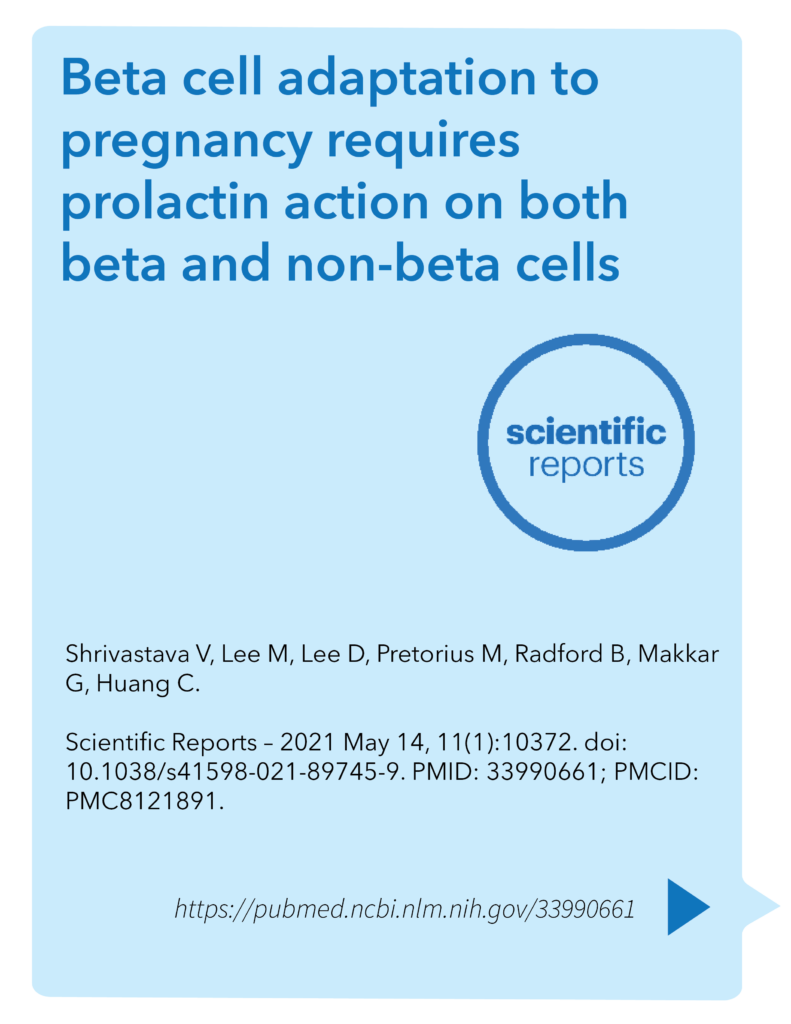 Beta cell adaptation to pregnancy requires prolactin action on both beta and non-beta cells