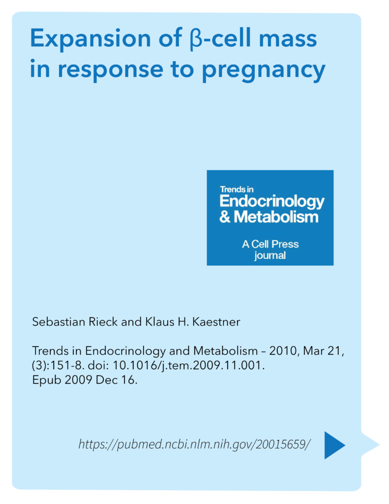 Expansion of β-cell mass in response to pregnancy