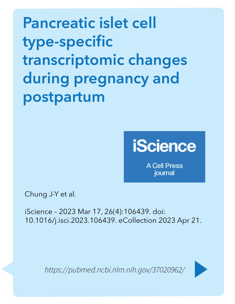 Pancreatic islet cell type-specific transcriptomic changes during pregnancy and postpartum