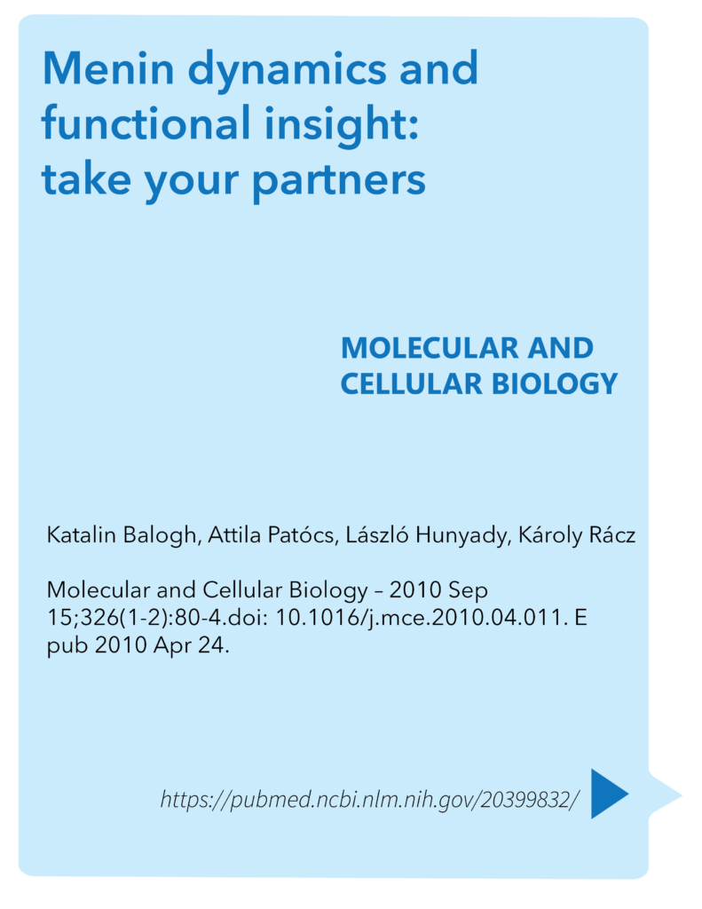 Menin dynamics and functional insight: take your partners