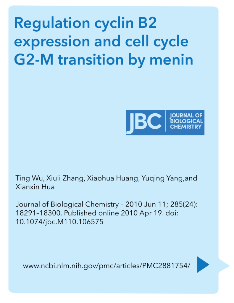 Regulation cyclin B2 expression and cell cycle G2-M transition by menin