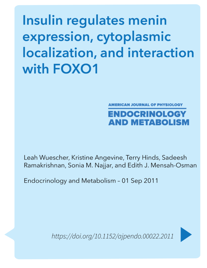 Insulin regulates menin expression, cytoplasmic localization, and interaction with FOXO1