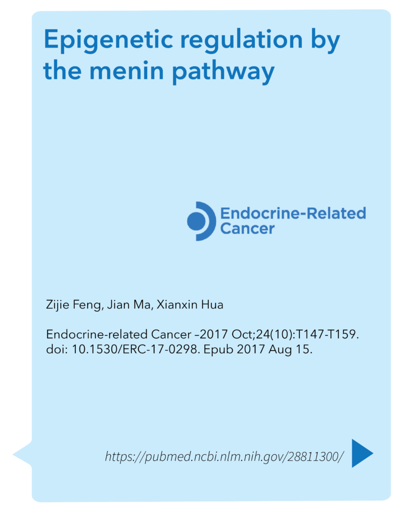 Epigenetic regulation by the menin pathway