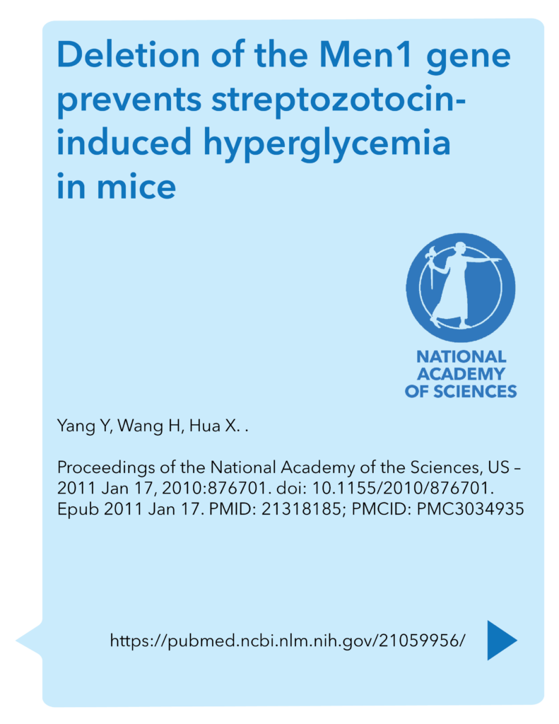 Deletion of the Men1 gene prevents streptozotocin-induced hyperglycemia in mice