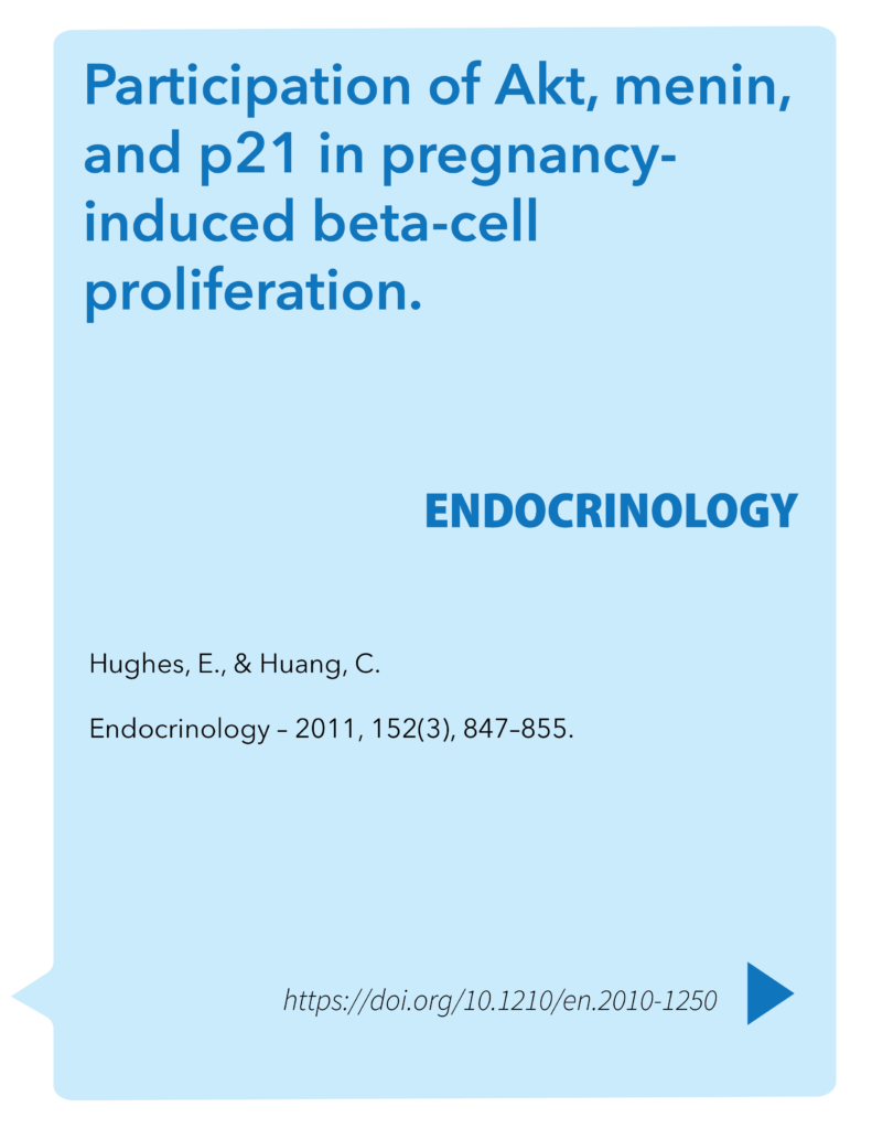 Participation of Akt, menin, and p21 in pregnancy-induced beta-cell proliferation.