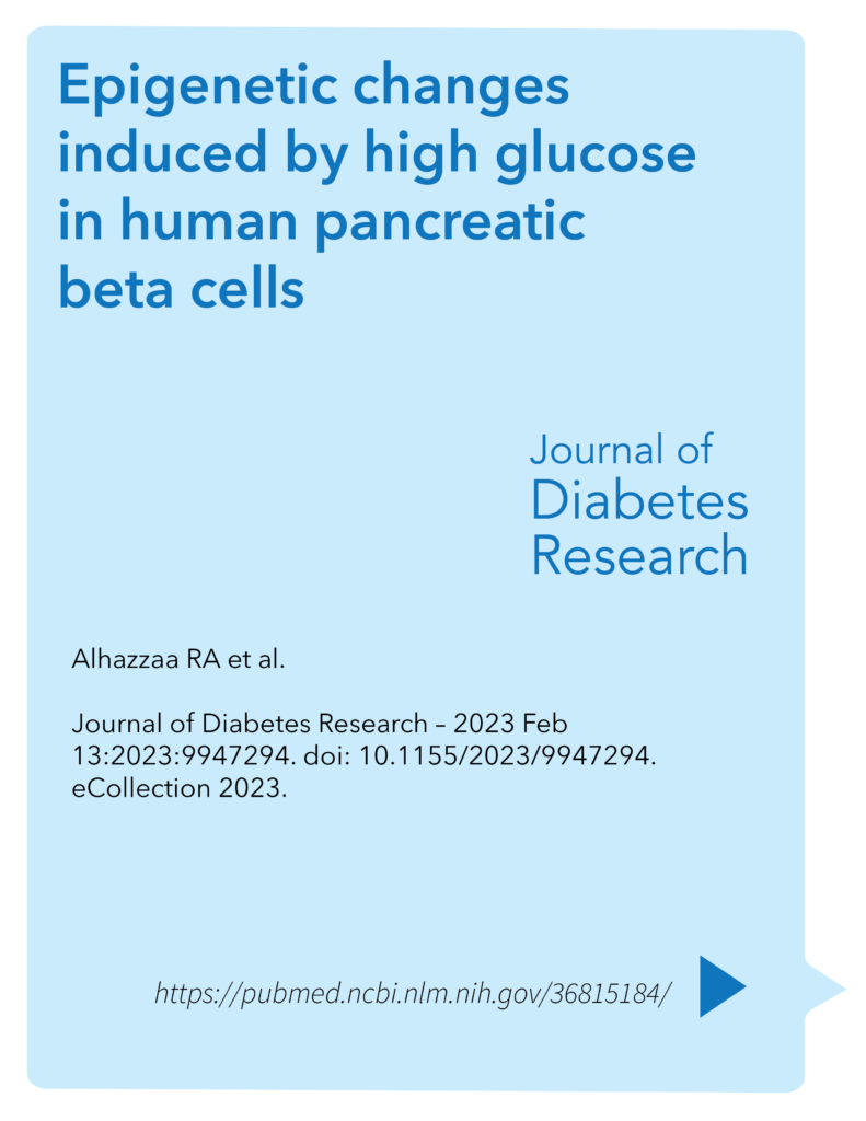 Epigenetic changes induced by high glucose in human pancreatic beta cells