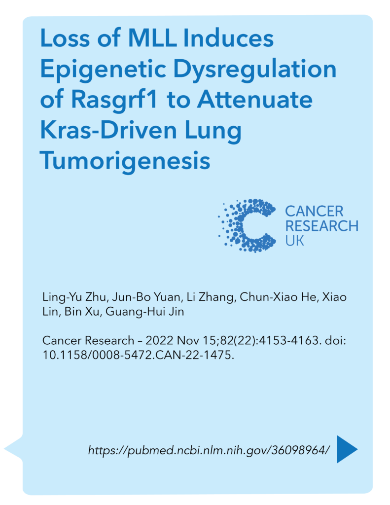 Loss of MLL Induces Epigenetic Dysregulation of Rasgrf1 to Attenuate Kras-Driven Lung Tumorigenesis