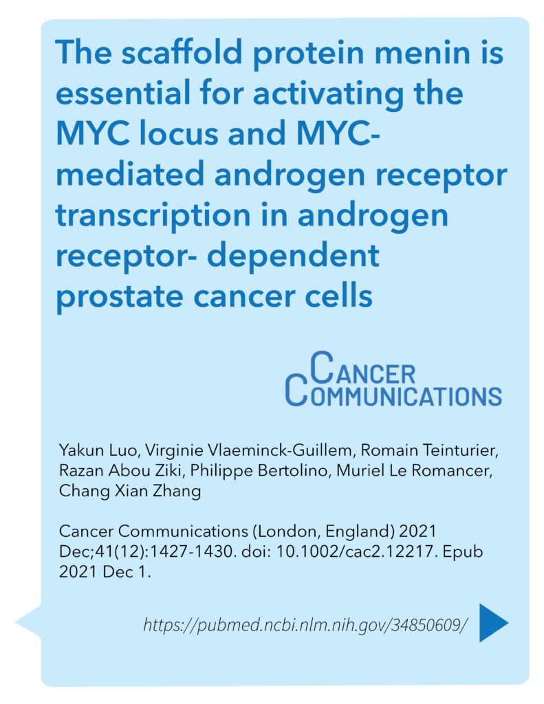 The scaffold protein menin is essential for activating the MYC locus and MYC-mediated androgen receptor transcription in androgen receptor-dependent prostate cancer cells